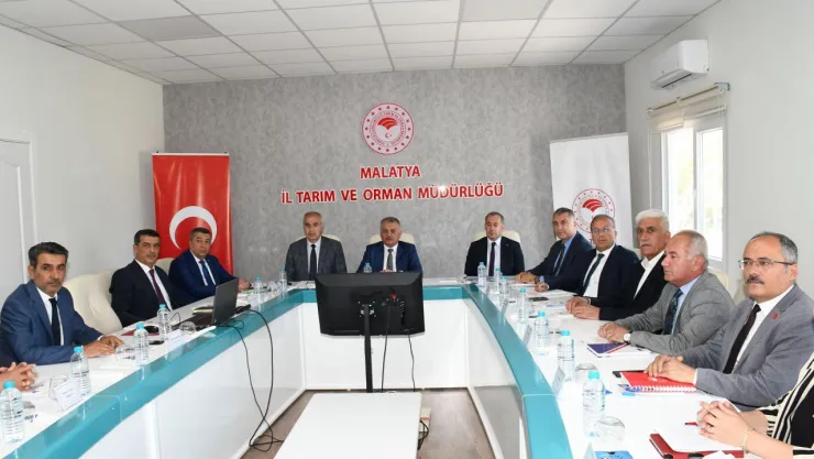 2024 Yılı Kayısı Rekoltesi Tahmini