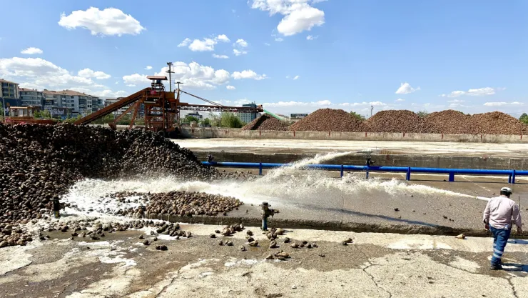 2025-2026 Pancar Sezonu Başladı: Şeker ve Küspe Üretimi Hızla Devam Ediyor