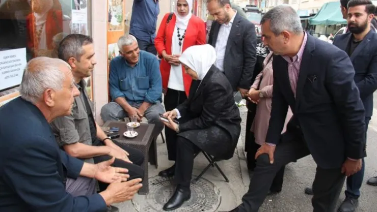AK Partili Çalık: 'Arapgir'imize Doğalgazı Kavuşturacağız'