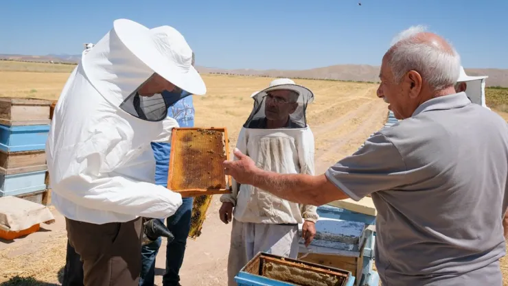 Akar: Malatya'da yılda 1 ton 200 kilogram   bal üretimi yapılıyor