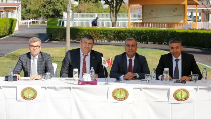 Akatahan tayı 2 milyona satıldı...