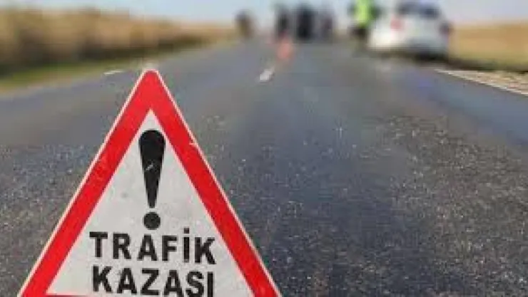 Araç yayalara çarptı: 2 Ölü