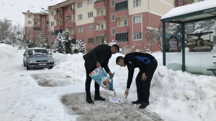 Arapgir Belediyesi elverişsiz hava şartlarında sokak hayvanlarını besliyor