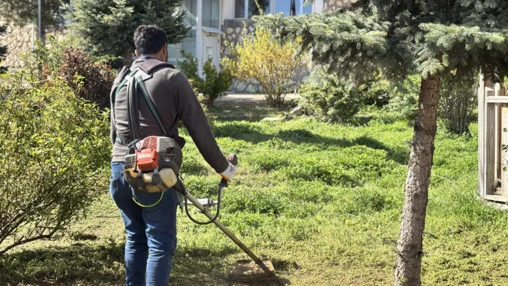 Arapgir Belediyesi'nden Kütüphane Bahçesine Bahar Dokunuşu