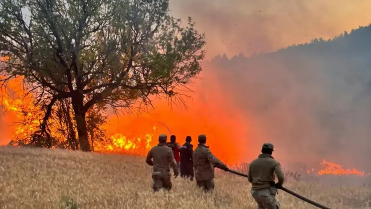 Bakan Yerlikaya orman yangınlarına karşı yapılan çalışmaları açıkladı