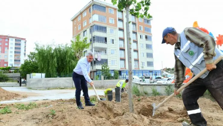 Başkan Çınar Yavuz Selim mahallesinde Yapımı Süren Yeni Park Alanını İnceledi