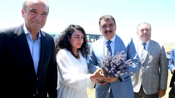Başkan Gürkan Lavanta Hasadına katıldı