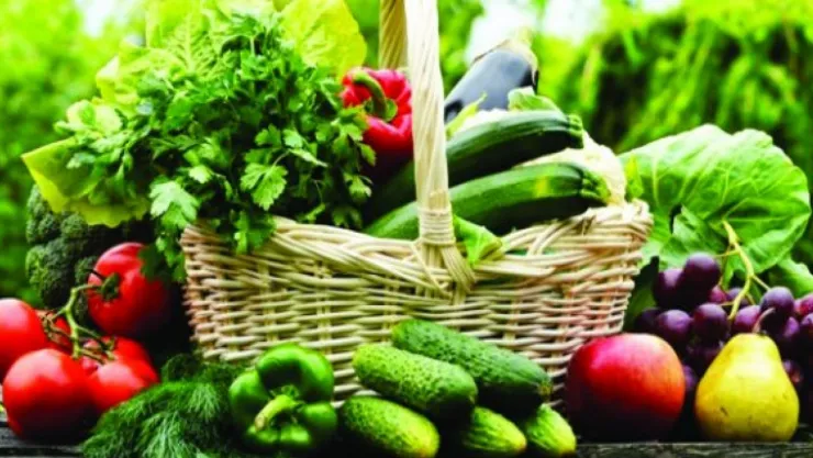 Bitkisel üretimin bir önceki yıla göre azalacağı tahmin edildi