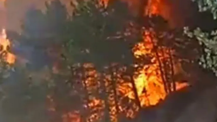 Bolu'da orman yangını