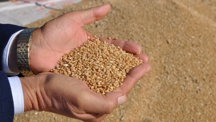 Çikolata ve Kakao Bazlı Ürünler İhracatta Zirvede: 844 Milyon Dolar