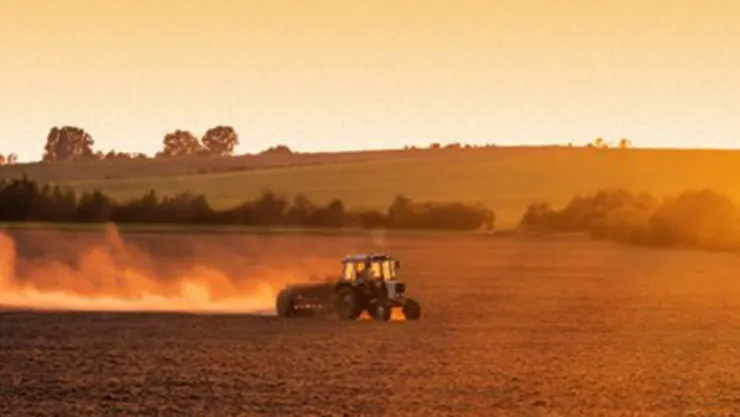 Destek ödemeleri bugün çiftçilerin hesaplarına aktarılıyor