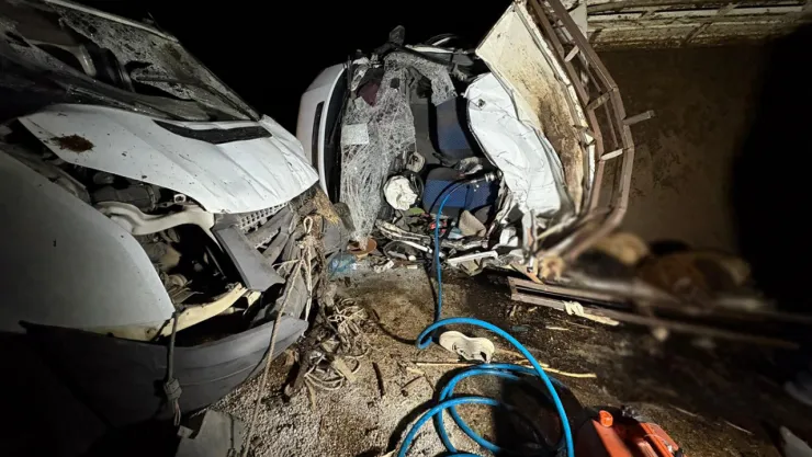 Diyarbakır'da kaza: 2 kişi öldü 14 hayvan telef oldu