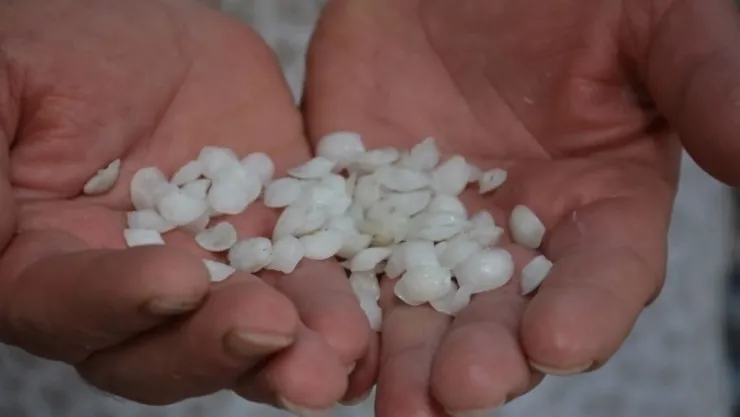 Eşkina Balığı Taşı Faydaları ve Kullanımı