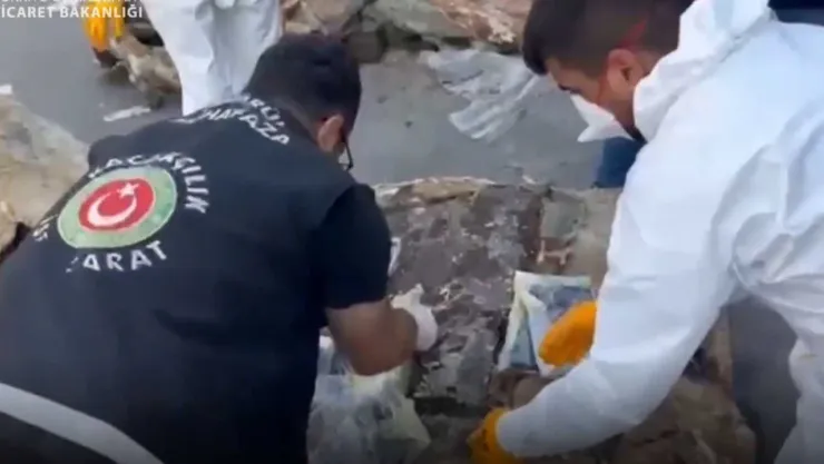Gümrük Muhafaza'dan Büyük Darbe: 310 Kilo Esrar, 291 Kilo Kokain Yakalandı