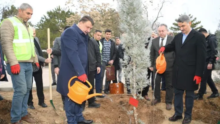 Hemşeri Dernekleri Orduzu Pınarbaşı'nda ağaç dikti