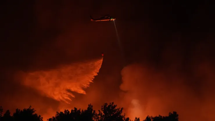 İzmir'de orman yangını