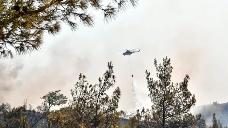 İzmir'de orman yangınlarıyla mücadele sürüyor