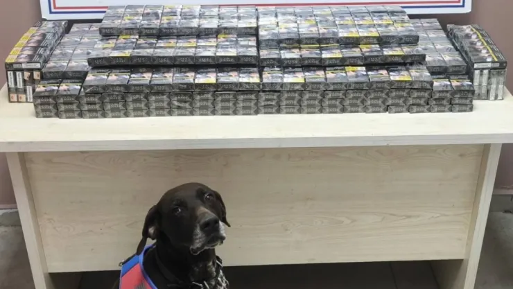 Jandarma Yol Kontrolünde İki Tırda Bandrolsüz Sigara Yakaladı