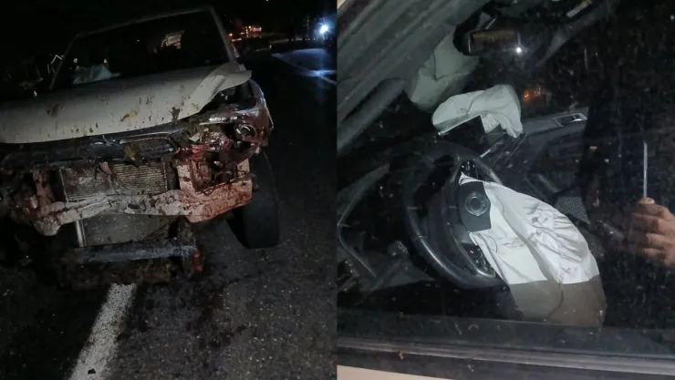 Karakoçan'da Kamyonet Koyun Sürüsüne Çarptı: 30 Hayvan Telef