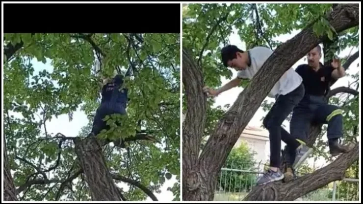 Kayısı Ağacına çıkan suriyeliyi itfaiye kurtardı