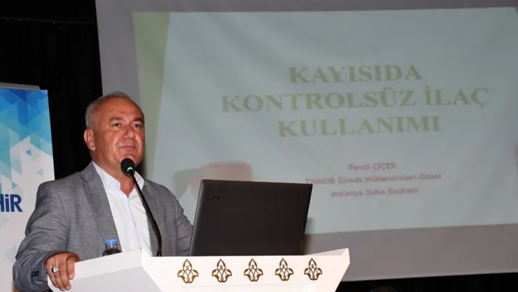 Kayısı Üretiminde Stratejik Daralma: Zirai Don ve Kuraklık Üreticiyi Endişelendiriyor