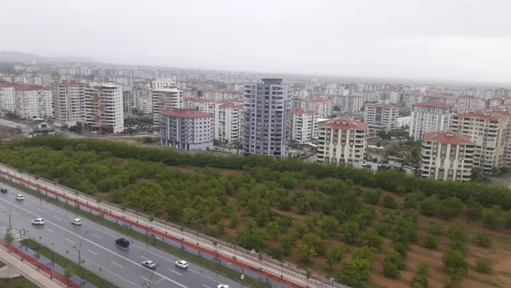 Kayısının Yolculuğu Bahçede Sergilenecek: Açık Hava Müzesi Projesi Gündemde