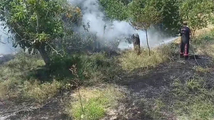 Malatya'da bahçe yangını paniğe neden oldu