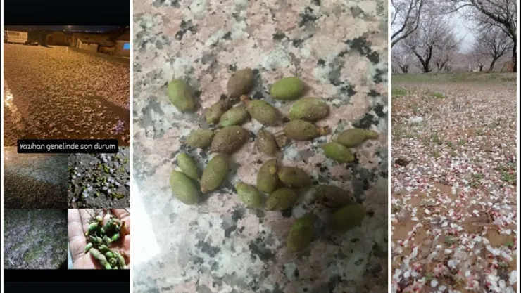Malatya'da Dolu Yağışı Tarımsal Alanlarda Hasara Neden Oldu