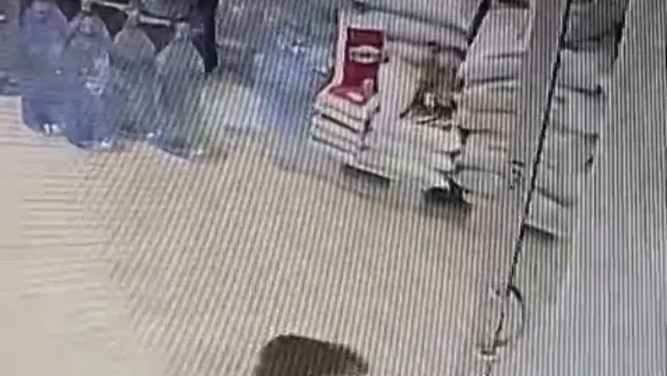 Malatya'da Nadir Görüntü: Su Samuru Kentte Tur Attı