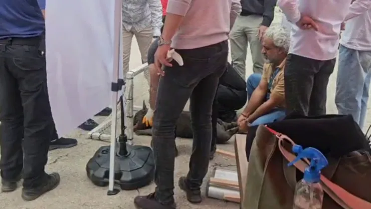 Malatya'da pitbull dehşeti: 2 yaralı