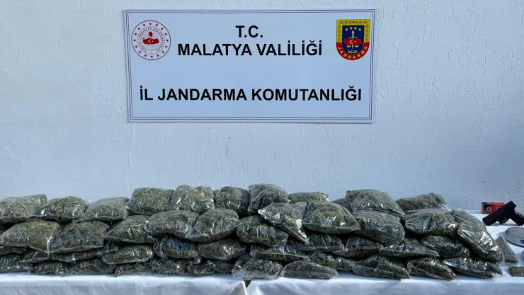 Malatya'da uyuşturucu operasyonu 1 şüpheli gözaltında