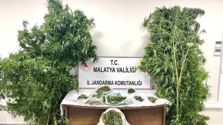 Malatya'da Uyuşturucu Operasyonlarında 16 Şüpheli Tutuklandı