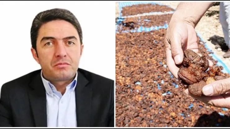 Malatya'nın kayısı üreticisi maalesef ömründe belkide hiç yaşamadığı çaresizliği bu yıl yaşıyor,