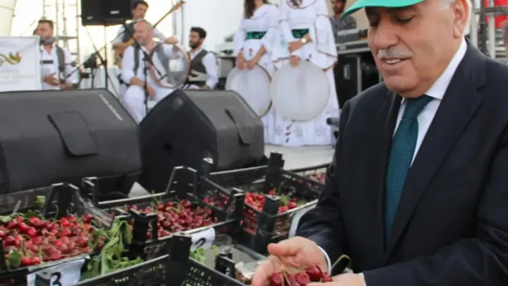 Mardin'deki Kiraz Festivali'ne STK'lardan 'israf ve duyarsızlık' tepkisi