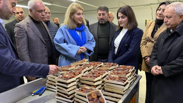 Milletvekili Ölmeztoprak'tan Ziyaret ve İncelemeler