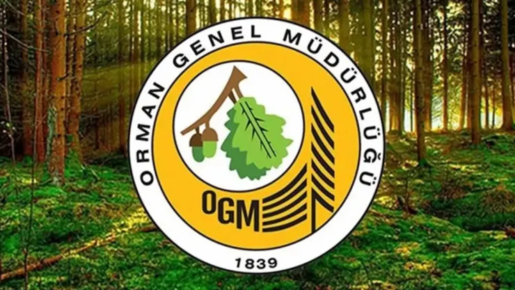 Orman Genel Müdürlüğüne 496 sözleşmeli personel alınacak