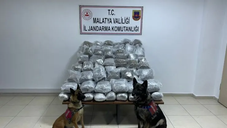 Piyasa Değeri 10.244.000 TL uyuşturucu madde ele geçirildi
