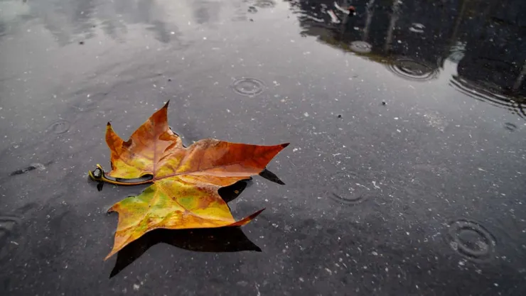 Rüzgâr Yön Değiştiriyor: Marmara'da Kuzey, Diğer Bölgelerde Güney Etkili Olacak