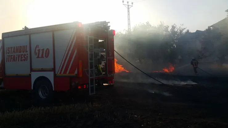 Silivri'de ormanlık alanda yangın