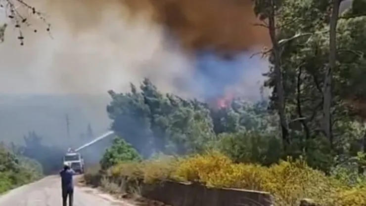 Suriye'nin kıyı kesimlerinde orman yangını: 30 hektardan fazla alan yandı