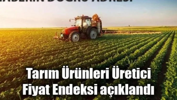 Tarım ürünleri üretici fiyat endeksi yıllık yüzde 154,97, aylık yüzde 16,18 arttı