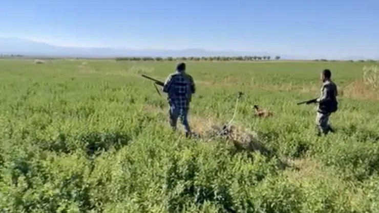 Tavşan, Keklik ve Ördek Avı Sezonu Öncesi Avcıların Kota Krizi