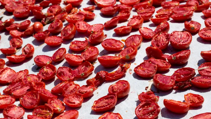 Türkiye kuru domates ihracatında dünya ikincisi oldu