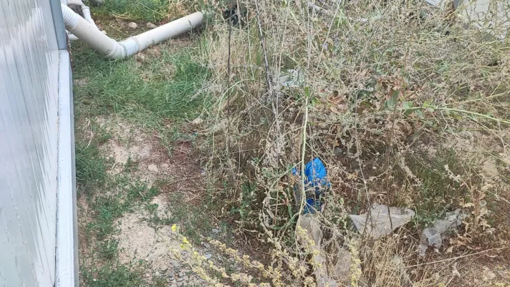 Yıldız: Konteynerde Hayat Durdu
