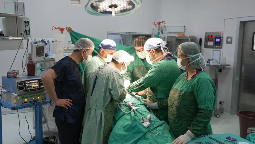 60 Yaşındaki Hastaya Nefron Koruyucu Cerrahi: Malatya'da 3 cm'lik Böbrek Tümörü Çıkartıldı