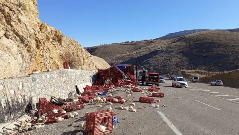 Akçadağ'da Trafik Kazası: Tavuk Yüklü Kamyon Şarampole Devrildi