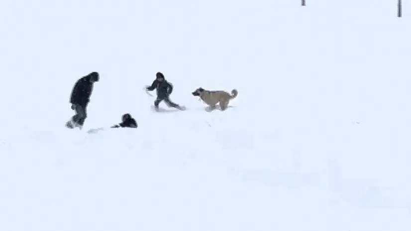 Arguvan'da Kar Altında Gülümseten Görüntüler