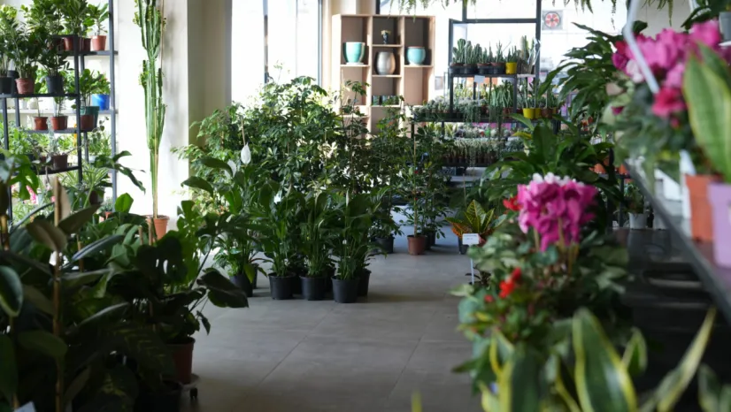 Battalgazi Belediyesi'nden Vatandaşların Yaşam Kalitesini Artıran Hizmetler