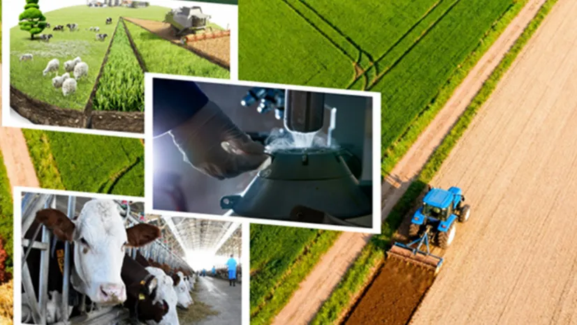 Çiftçiye 227 Milyon Liralık Destek Bugün Hesaplarda