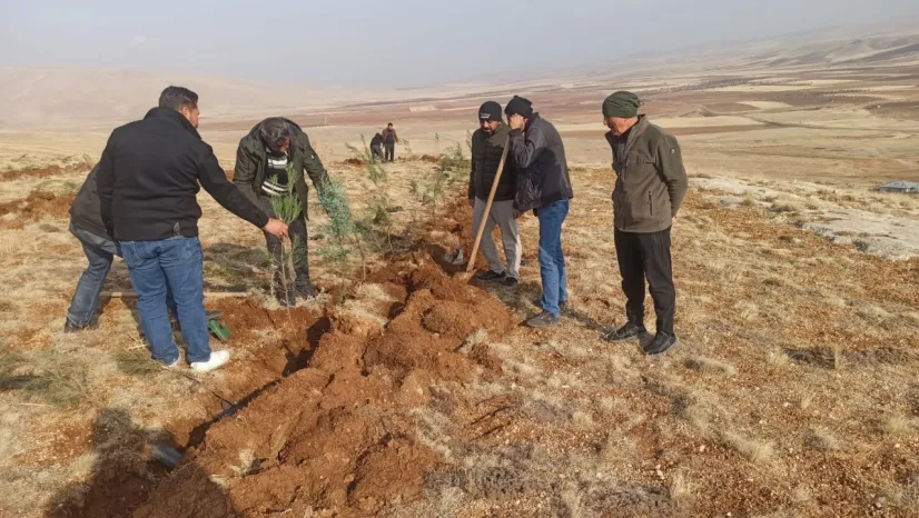 Darende'de Örnek Çevre Hareketi: Öğrenci ve Öğretmenlerden Fidan Desteği